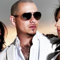 Pitbull sortira l'album Rebelution fin août