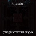 These New Puritans - Hidden