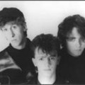 The Icicle Works