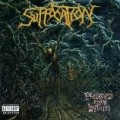 suffocation - Pierced From Within