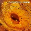 Catherine Wheel - Ferment