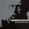Warren Zevon - Mr Bad Example