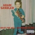 Adam Sandler - What the Hell Happened to Me