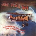 Joe Walsh - Smoker You Drink the Player You Get