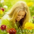 Deana Carter - Did I Shave My Legs for This