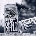 Built To Spill - Normal Years