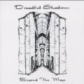 Dreadful Shadows - Beyond the Maze