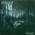 Burzum - Hlidskjalf