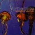 Furthermore - Fluorescent Jellyfish
