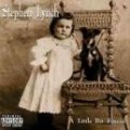 Stephen Lynch - Little Bit Special