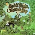 The Beach Boys - Smiley Smile & Wild Honey
