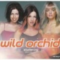 Wild Orchid - Stuttering: Don't Say / Lies