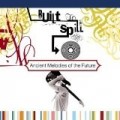 Built To Spill - Ancient Melodies of the Future