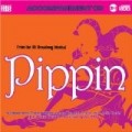 Various Artists - Broadway Musical Pippin - Professional Backing Tracks [UK Import]