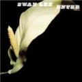 Swan Lee - Enter