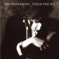 The Waterboys - This Is the Sea (Bonus CD)