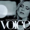 Alison Moyet - Voice