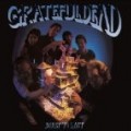 Grateful Dead - Built to Last (Dig)