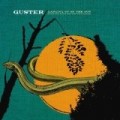 Guster - Ganging Up on the Sun