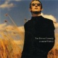 The Divine Comedy - A Secret History: the Best of