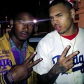 Chris Brown: Fortune, nouvel album en mars 2012 (+ Strip en écoute)