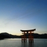 sakayash
