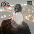 Cashis - The County Hound 2