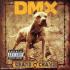 DMX - Grand Champ